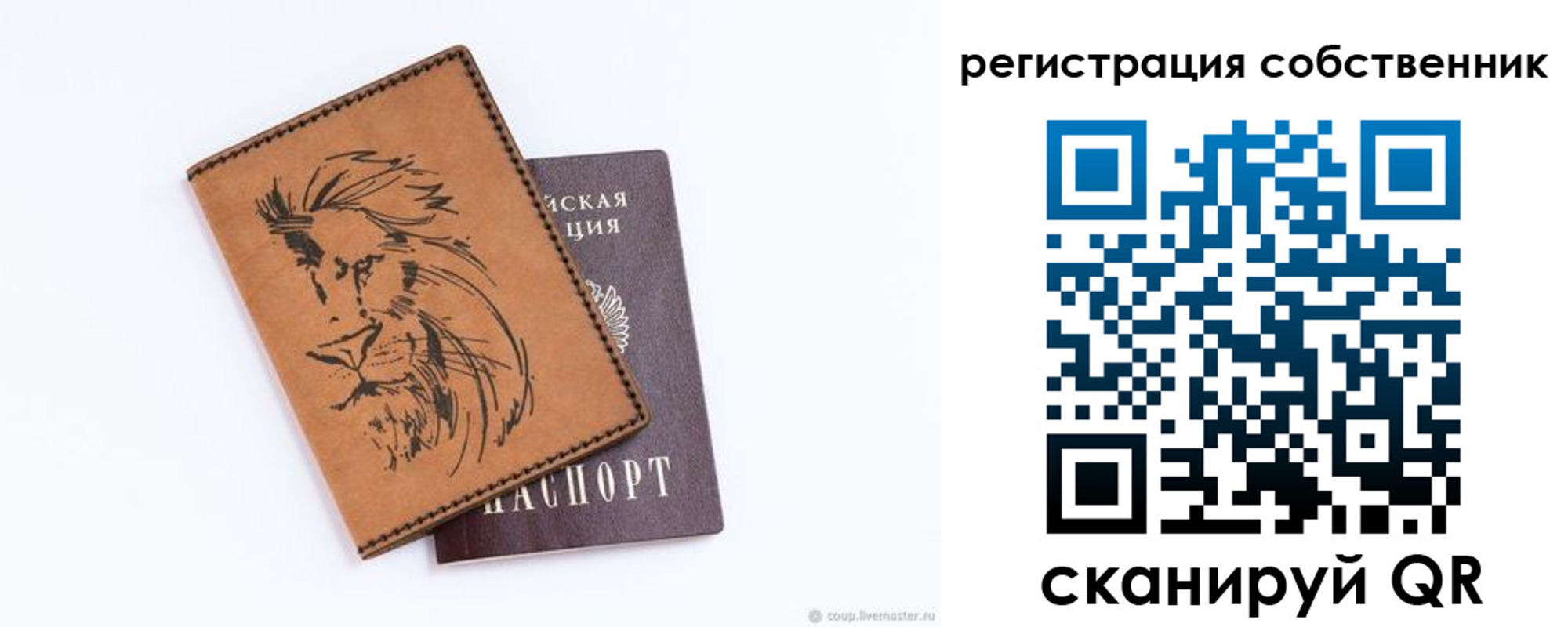 прописка паспорт в Алексеевке
